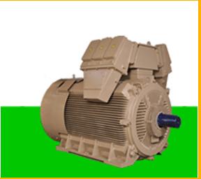 Medium Voltage Motors