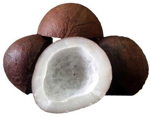 coconut copra