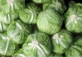 Fresh Cabbage