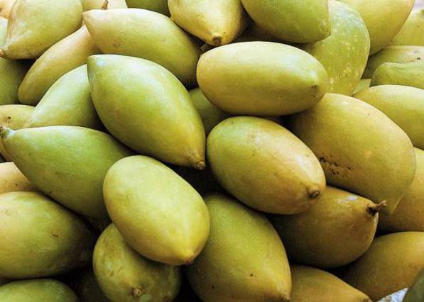 Fresh Totapuri Mango Buy Fresh Totapuri Mango in Kadapa Andhra Pradesh
