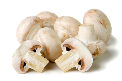 Organic Fresh Mushrooms, for Cooking, Oil Extraction, Packaging Type : Plastic Bag