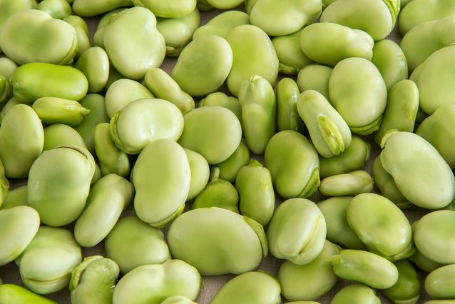 dry lima beans