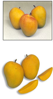 Mangoes