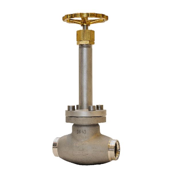 Cryogenic Globe Valve