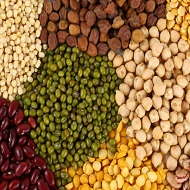 Common Pulses, for Cooking, Certification : FSSAI Certified
