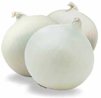 white onion