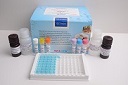 Doxycycline ELISA Kit