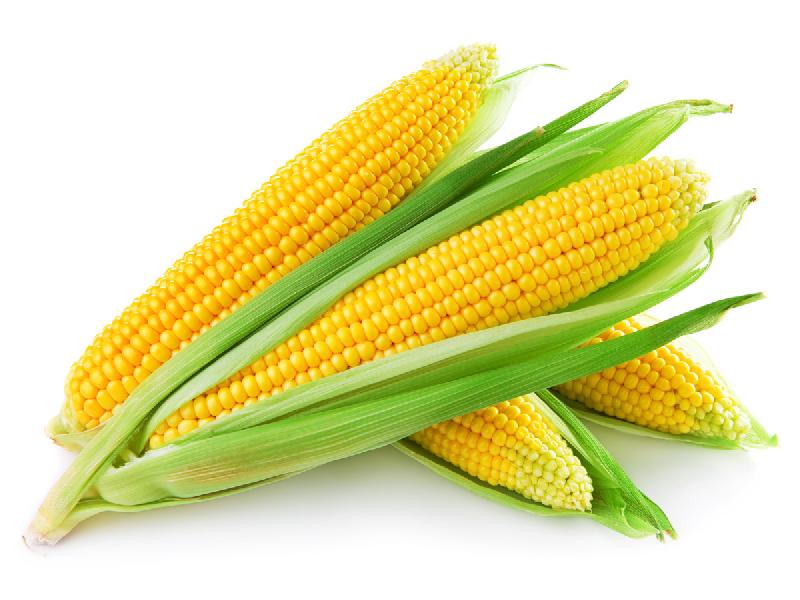 Yellow corn