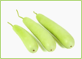 Organic Fresh Bottle Gourd, for Cooking, Packaging Type : Plastic Packet