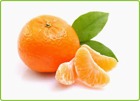 Organic Fresh Orange, for Juice, Packaging Type : Foam Net