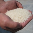 Long Grain Milled Rice