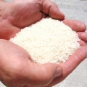 Medium Grain Milled Rice