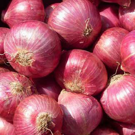 fresh red onion