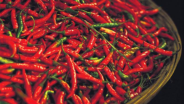 dry red chilli