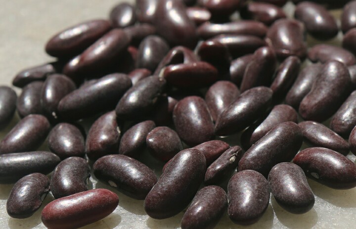 Gunwanti Red Kidney Beans