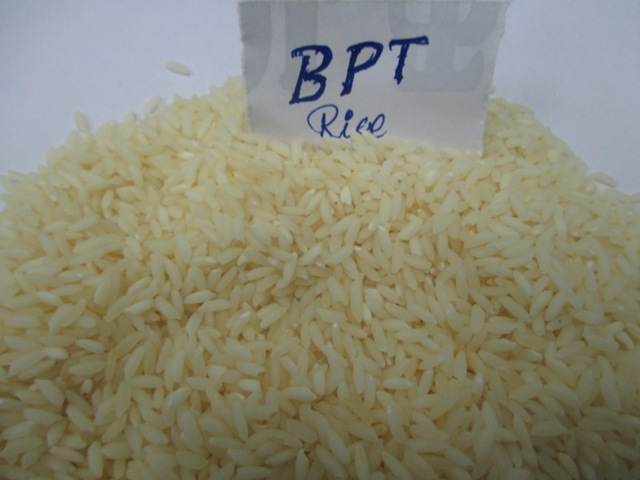 Common Hard BPT Rice, for Cooking, Food, Packaging Type : Plastic Bags, Pp Bags
