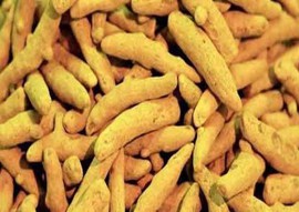 Finger Turmeric