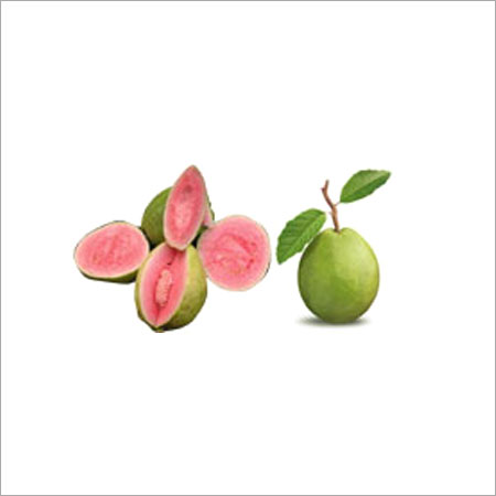 Guava pulp / puree