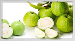 White guava pulp puree