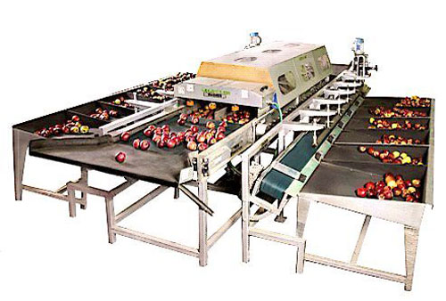 Type 3 Apple Grading Machine