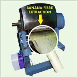 Banana Fibre Extraction Machine