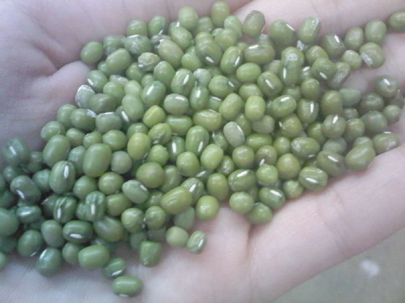 30 G. Mung bean seeds