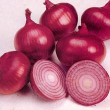 red fresh onion