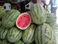 fresh watermelon