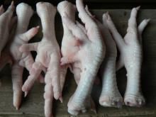 Frozen Chicken Feet