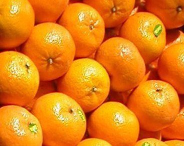 Mandarine Orange