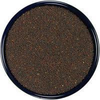 Rape Seeds / Canola Seeds