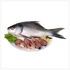 Catla Fish, for Cooking, Human Consumption, Packaging Type : Plastic Crates, Thermocole Box, Vaccum Packed