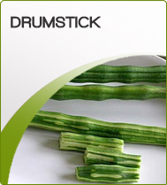 Frozen Drumsticks