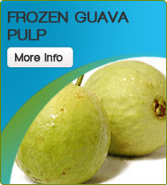 Frozen Guava Pulp, Purity : 100%