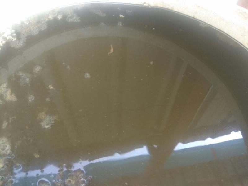 banana sap Buy banana sap in AURANGABAD Maharashtra India from ReddColt