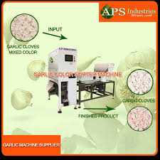 garlic cloves sorter machine
