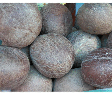 Dried Whole Coconut