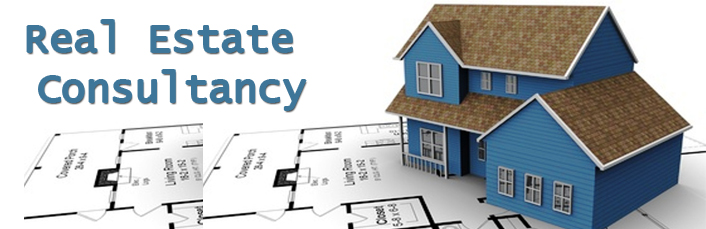 real estate consultancy