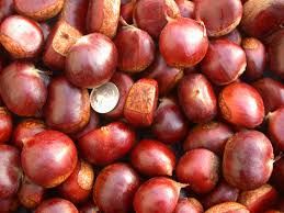 Chestnuts