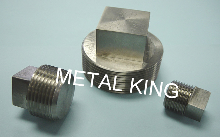 Titanium Forged Fittings plug