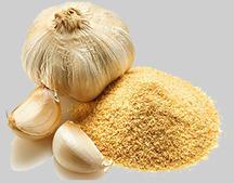SHREE JTC garlic powder, Packaging Type : 200 GM, 500GM, 1KG, 5KG, 10KG, 20KG, 30KG