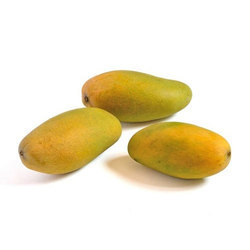 Fresh Dasheri Mango