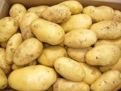 Organic fresh potato