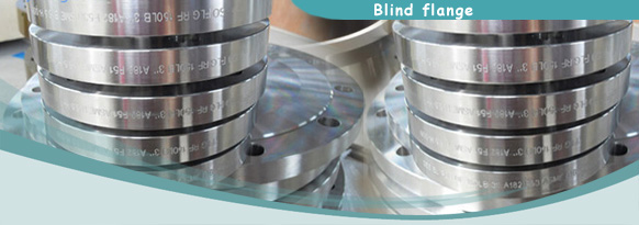 Blank Flanges