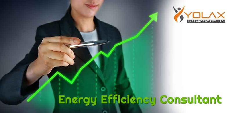 Energy Audit Consultant