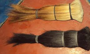 Horse Tail Hair