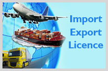 Export and Import License Services