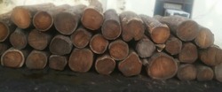Sheesham Wood Logs