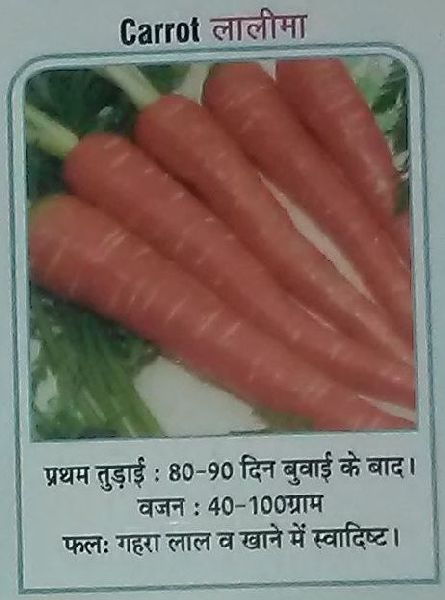 Organic Lalima Fresh Carrot