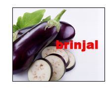 Brinjal